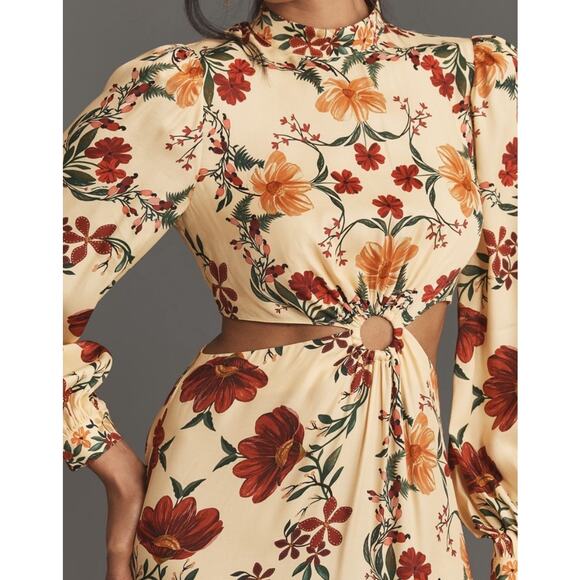 Farm Rio x Anthropologie Long Sleeve Cutout Maxi dress size XL - Picture 3 of 8